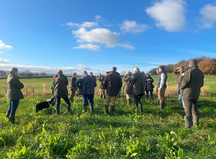 Farmers stood in sunny field