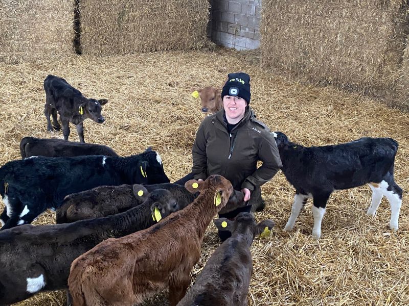 Women in shed with calves